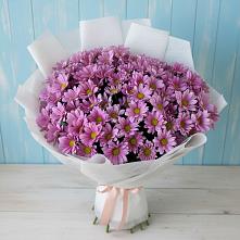 Букет цветов из:  Хризантемы в Русско-Высоцкое