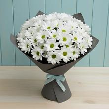 Букет цветов из:  Хризантемы #REPLACE_PRED# Русско-Высоцкое