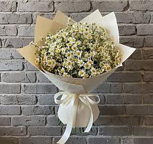 Букет цветов из:  Ромашки в Русско-Высоцкое
