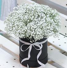Цветочная композиция из Гипсофила в шляпной коробке #REPLACE_PRED# Русско-Высоцкое