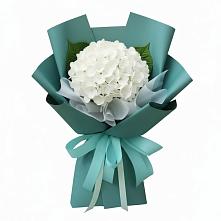 Букет цветов из:  Гортензия #REPLACE_PRED# Русско-Высоцкое
